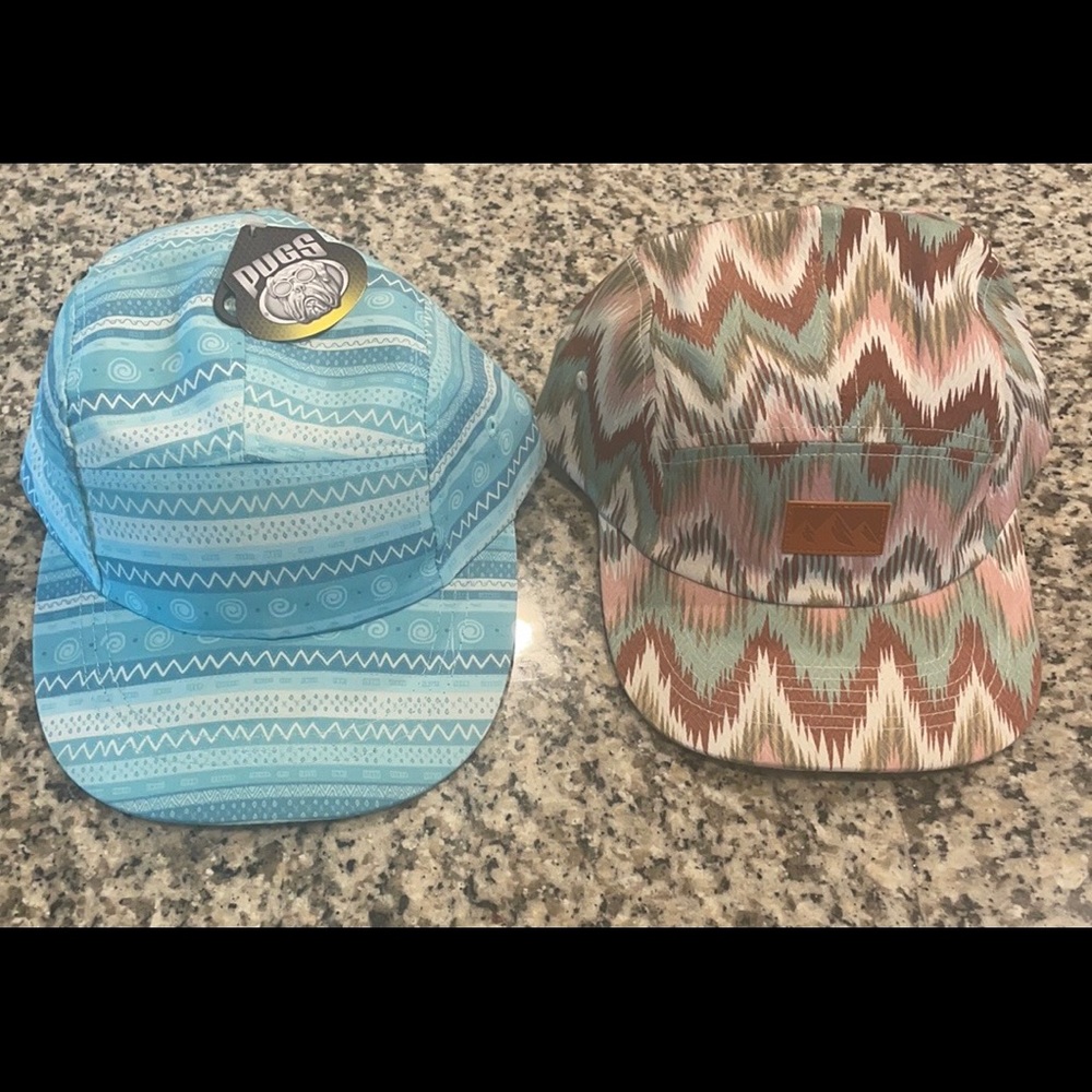 2 Pugs hats